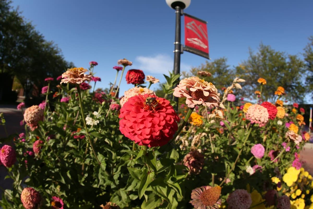 Northwest College campus