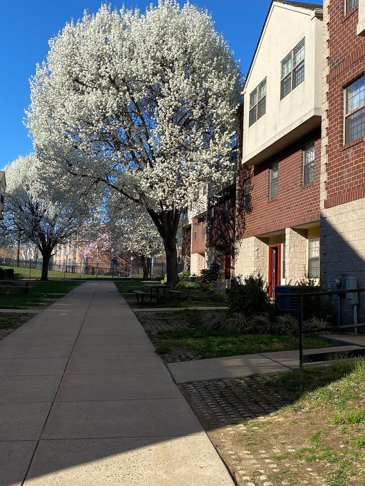 La Salle University campus