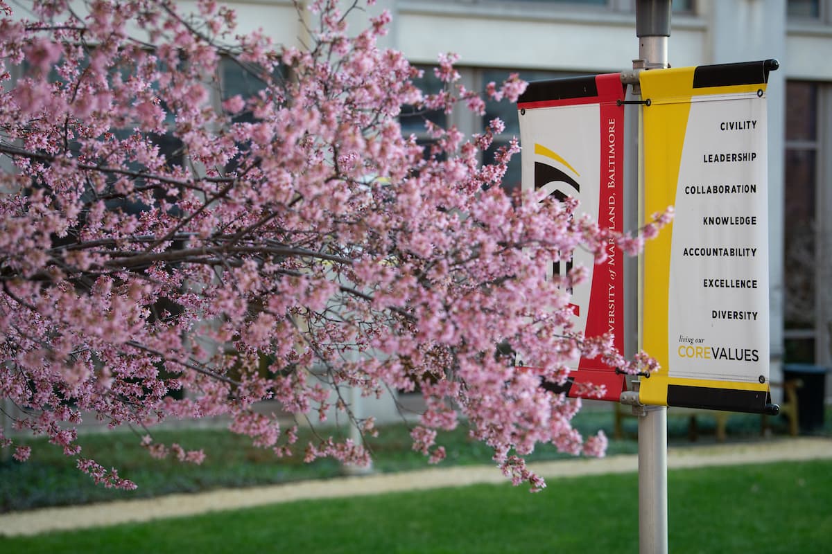 University of Maryland Baltimore campus