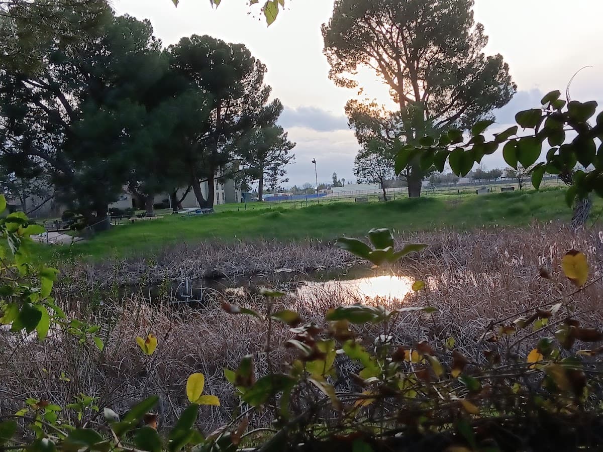 California State University-Bakersfield campus