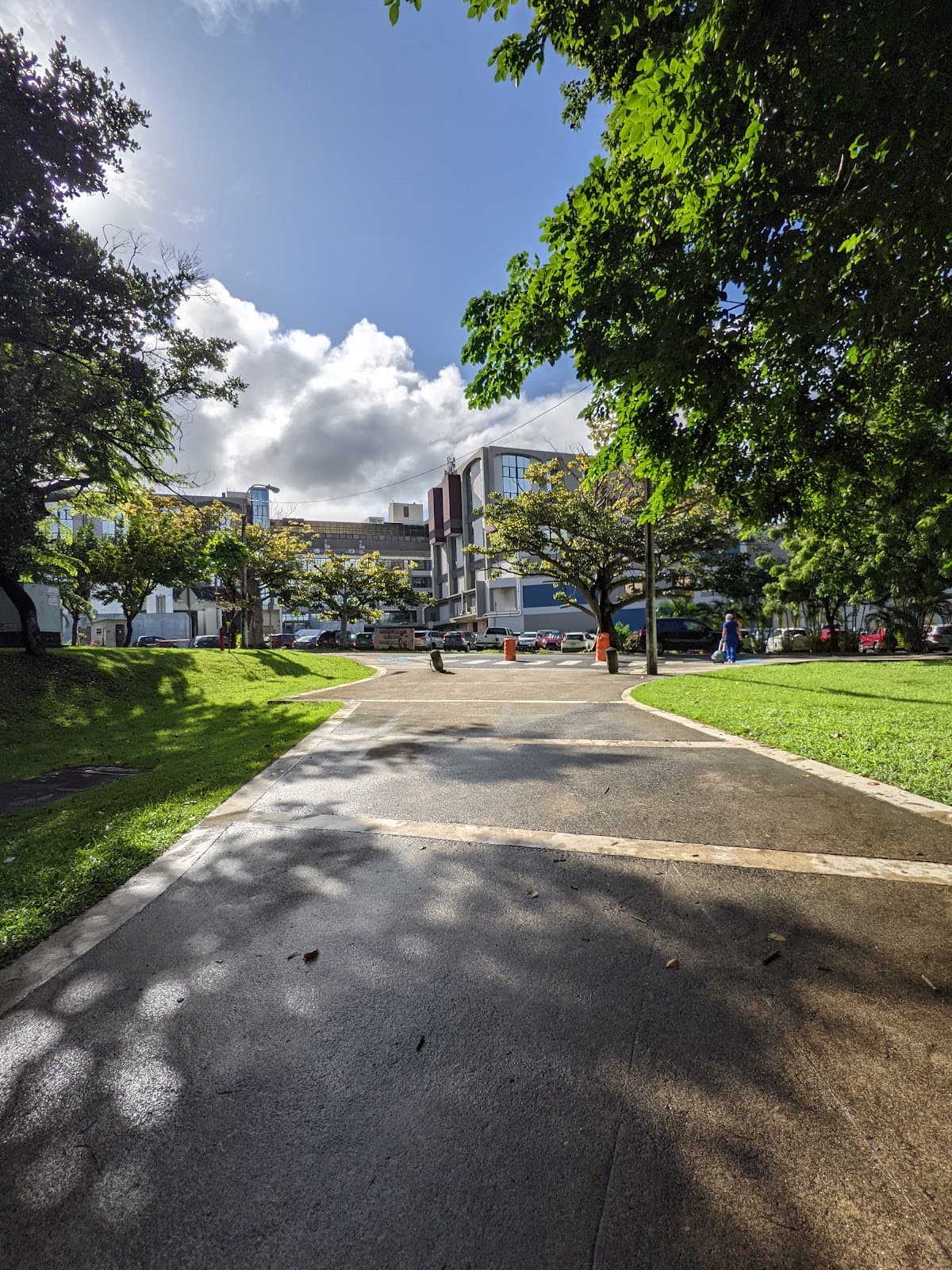 University of Puerto Rico-Medical Sciences campus